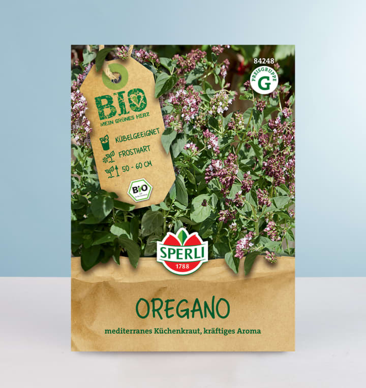 Oregano Samen BIO