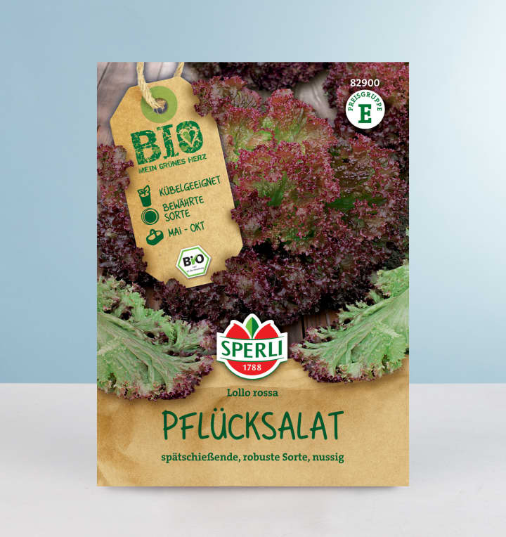 Pflücksalat 'Lollo Rossa' Samen BIO