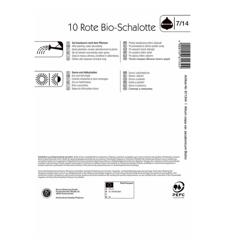 Schalotte 'Biztro' - 10 Stück BIO