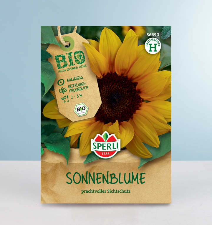 Sonnenblumen Samen BIO