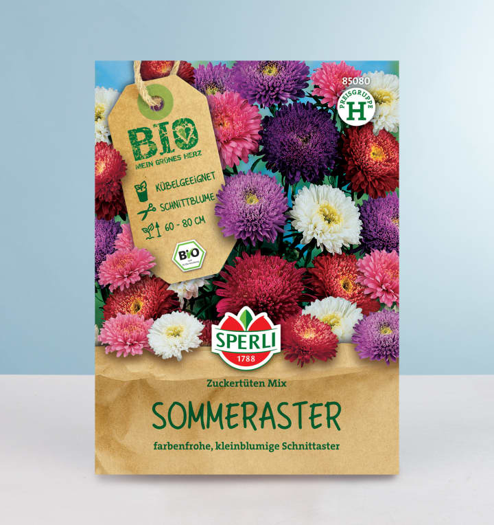 Sommerastern 'Zuckertüten Mix' Samen BIO