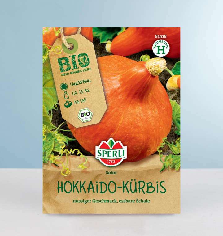 Hokkaido-Kürbis Samen BIO