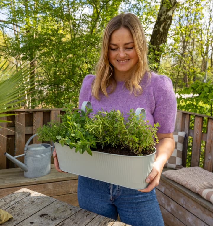 DIY Balkonkasten Kräutergarten