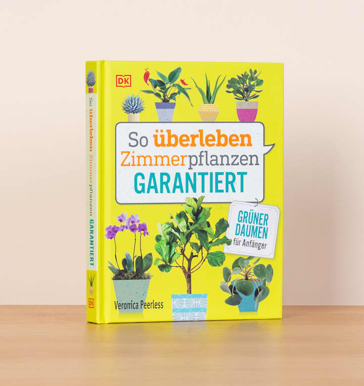 So überleben Zimmerpflanzen garantiert - Buch, gebunden