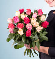 Bunte Rosen - 20 Stiele