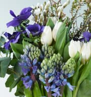 Frühlingsblumenmix Blau