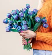 Tulpen Mystic Blue 20 Stiele