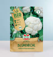 Blumenkohl 'Flora Binaca' Samen BIO