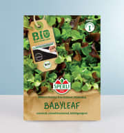 Babyleaf 'SPERLI's Frische Duo' Saatband BIO