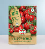 Cherrytomate 'Zuckertraube' Samen BIO