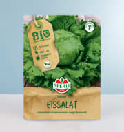 Eissalat Samen BIO