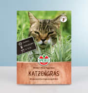 Katzengras 'SPERLI's Mini-Tiger-Gras' Samen