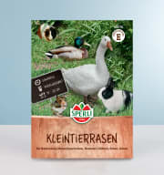 Kleintierrasen Samen