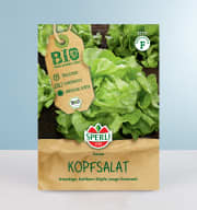 Kopfsalat Samen BIO