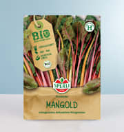 Mangold 'Fireworks' Samen BIO