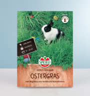 Ostergras 'SPERLI's Osterspaß' Samen