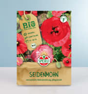 Seidenmohn Samen BIO