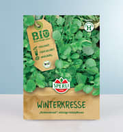 Winterkresse Samen BIO