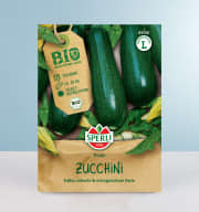 Zucchini 'Dunja' F1 Samen BIO