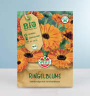 Ringelblumen Samen BIO