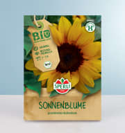 Sonnenblumen Samen BIO