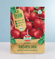 Radieschen 'Cherry Belle' Samen BIO