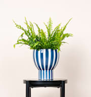 Keramik Übertopf Pokal Blau/Weiß 16 cm