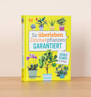 So überleben Zimmerpflanzen garantiert - Buch, gebunden