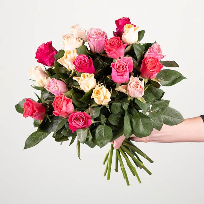 Rosen Mix