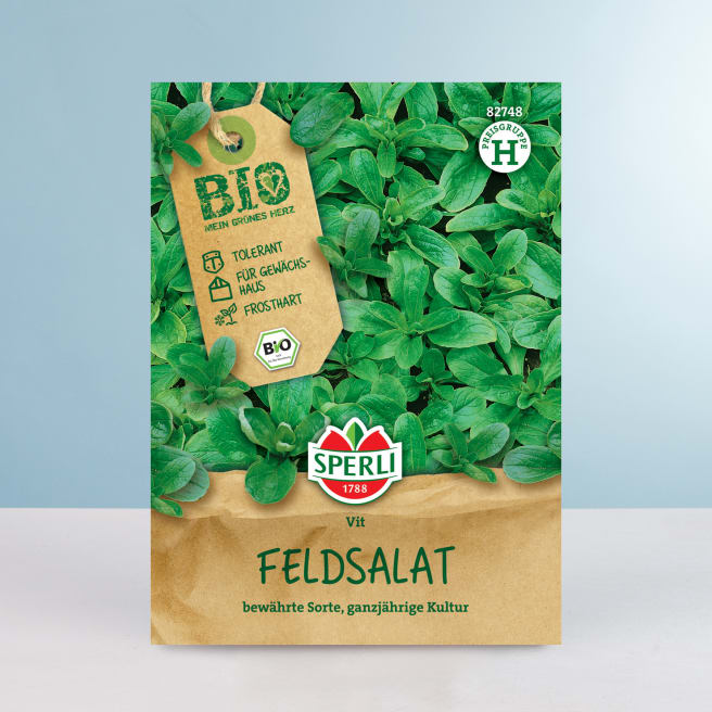 Feldsalat 'Vit' Samen BIO