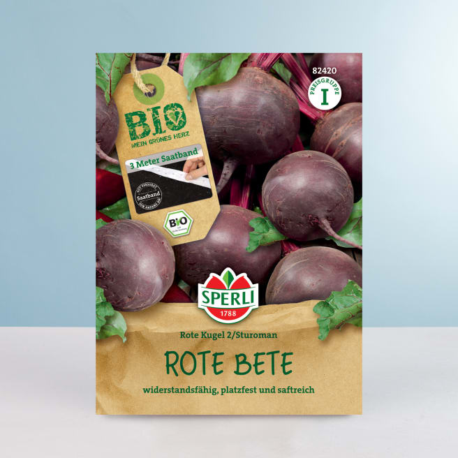 Rote Bete 'Boro' F1 Saatband BIO