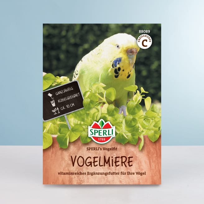 Vogelmiere 'SPERLI's Vogelfit' Samen