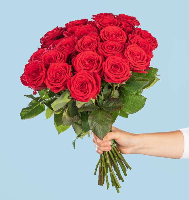 Rote Premium-Rosen - 25 Stiele