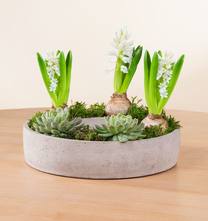 DIY Betonring Spring Blossom