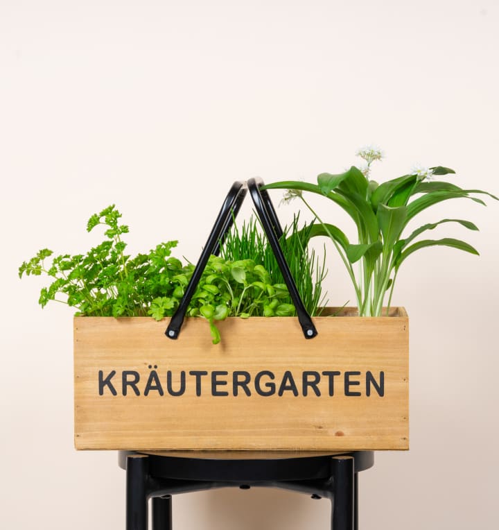 Holzkiste Schriftzug "Kräutergarten"