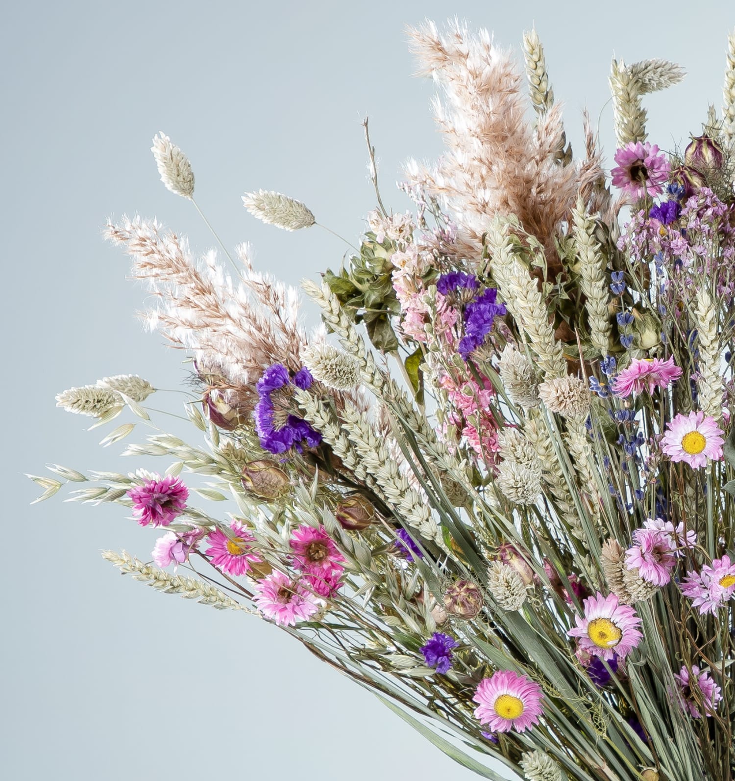 Wildblumen Trockenblumenstrauß Größe XL | BLUME2000