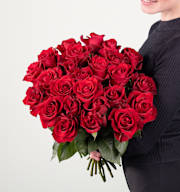 Rote Premium-Rosen - 25 Stiele