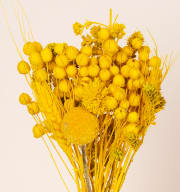 Trockenblumenbund Gelb