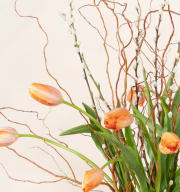 Französische Tulpen in Orange mit Lieblings-Vase L