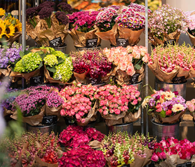 BLUME2000 in Ihrem Supermarkt BLUME2000