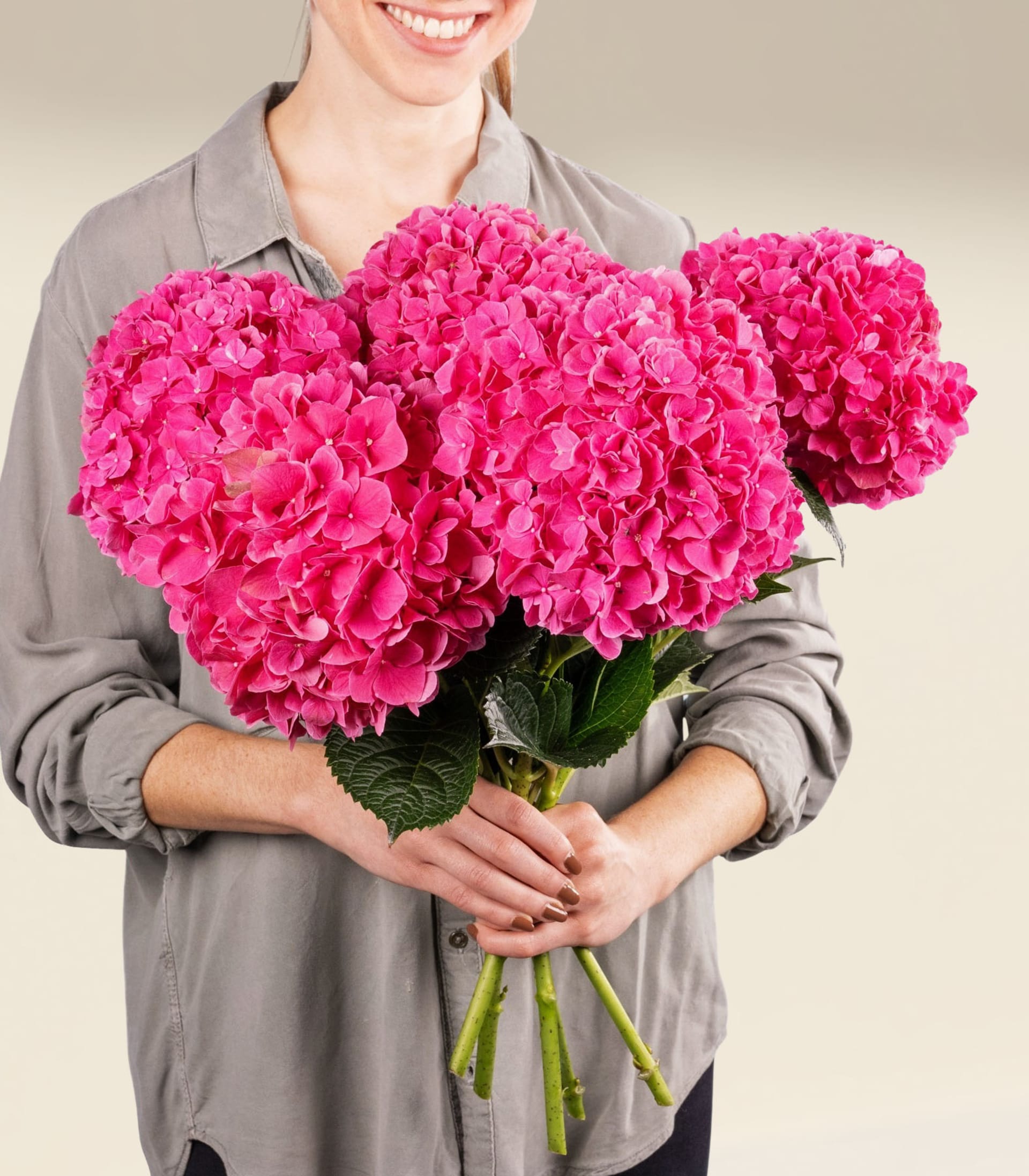 Eine Person in einem grauen Hemd hält einen großen Strauß leuchtend rosa Hortensienblüten vor einem schlichten weißen Hintergrund.