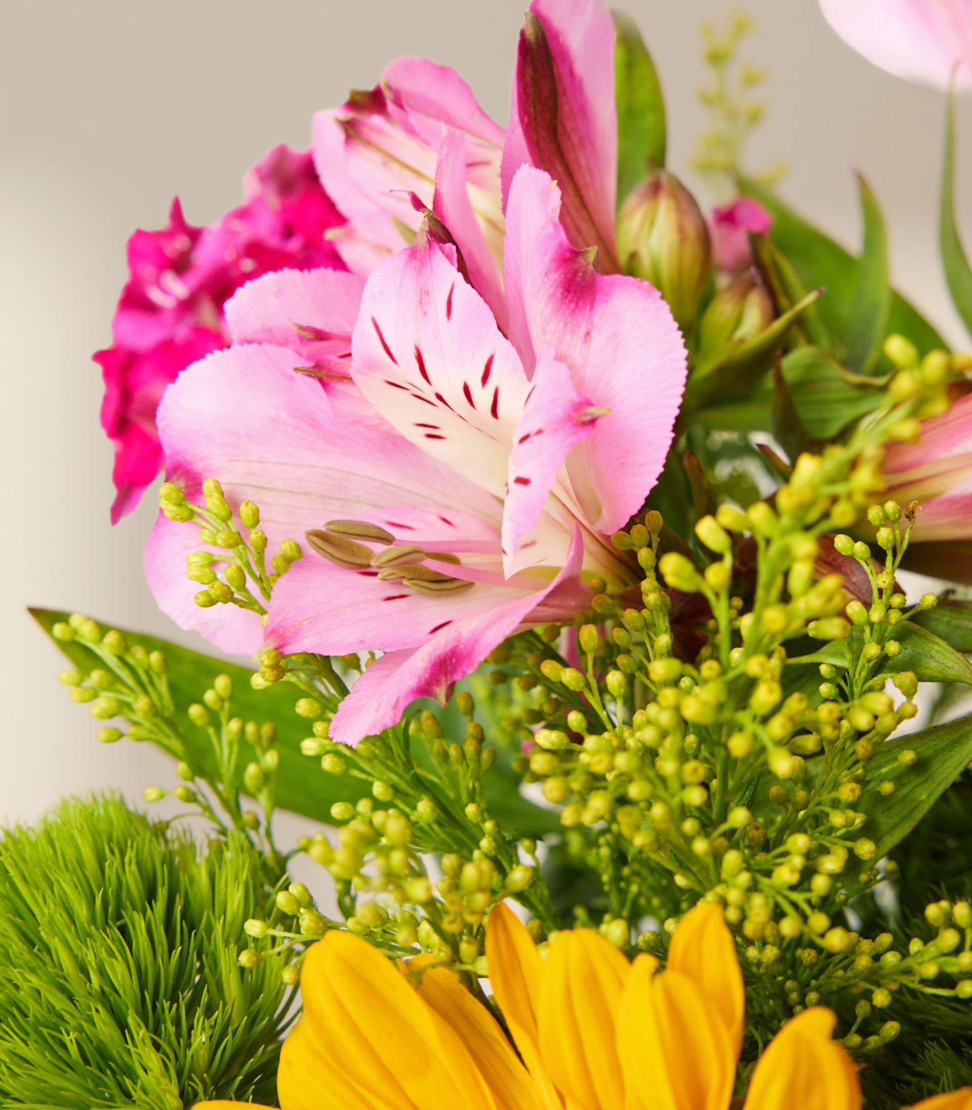 Ein leuchtender Strauß aus rosa und gelben Blüten, darunter Alstroemerien und Mimosen, vor dem Hintergrund üppigen grünen Laubs.