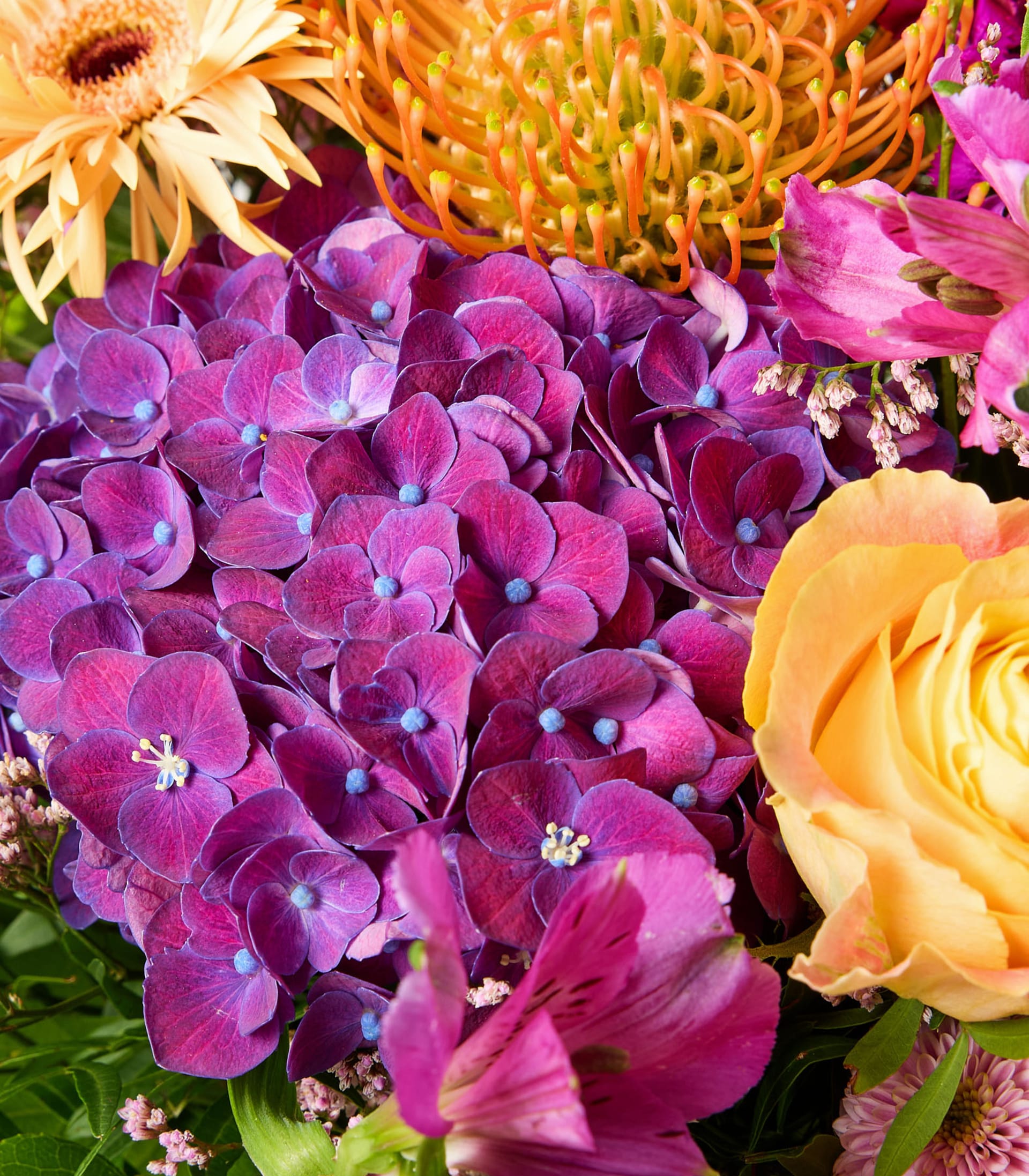 Ein leuchtender Strauß bunter Blumen, darunter Rosen, Gerbera und violette Hortensien, wird in einer Glasvase vor einem schlichten weißen Hintergrund präsentiert.