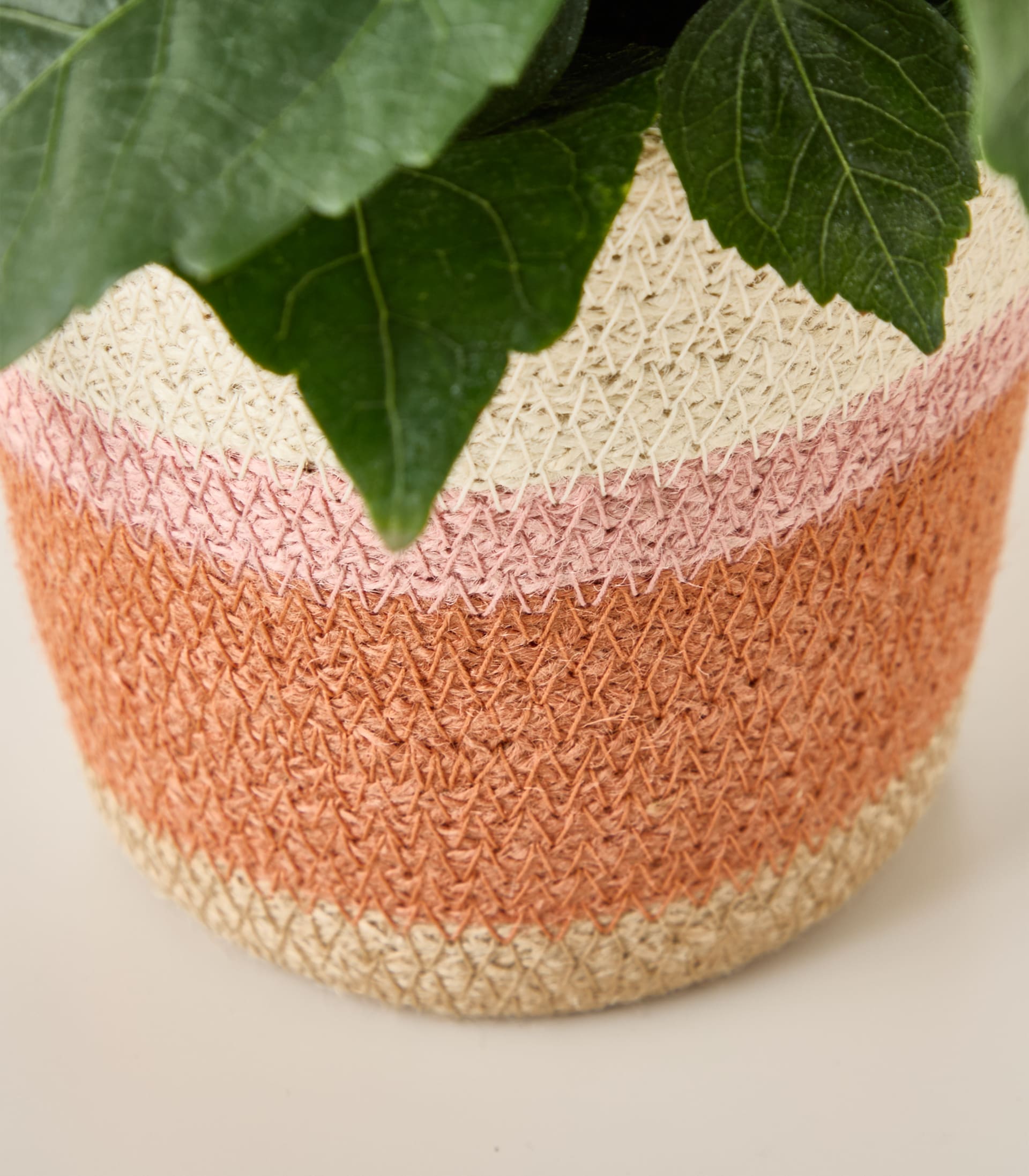 Ein geflochtener Korb oder Pflanzkübel mit einem Streifenmuster in Beige-, Rosa- und Orangetönen, im Hintergrund grüne Blätter.