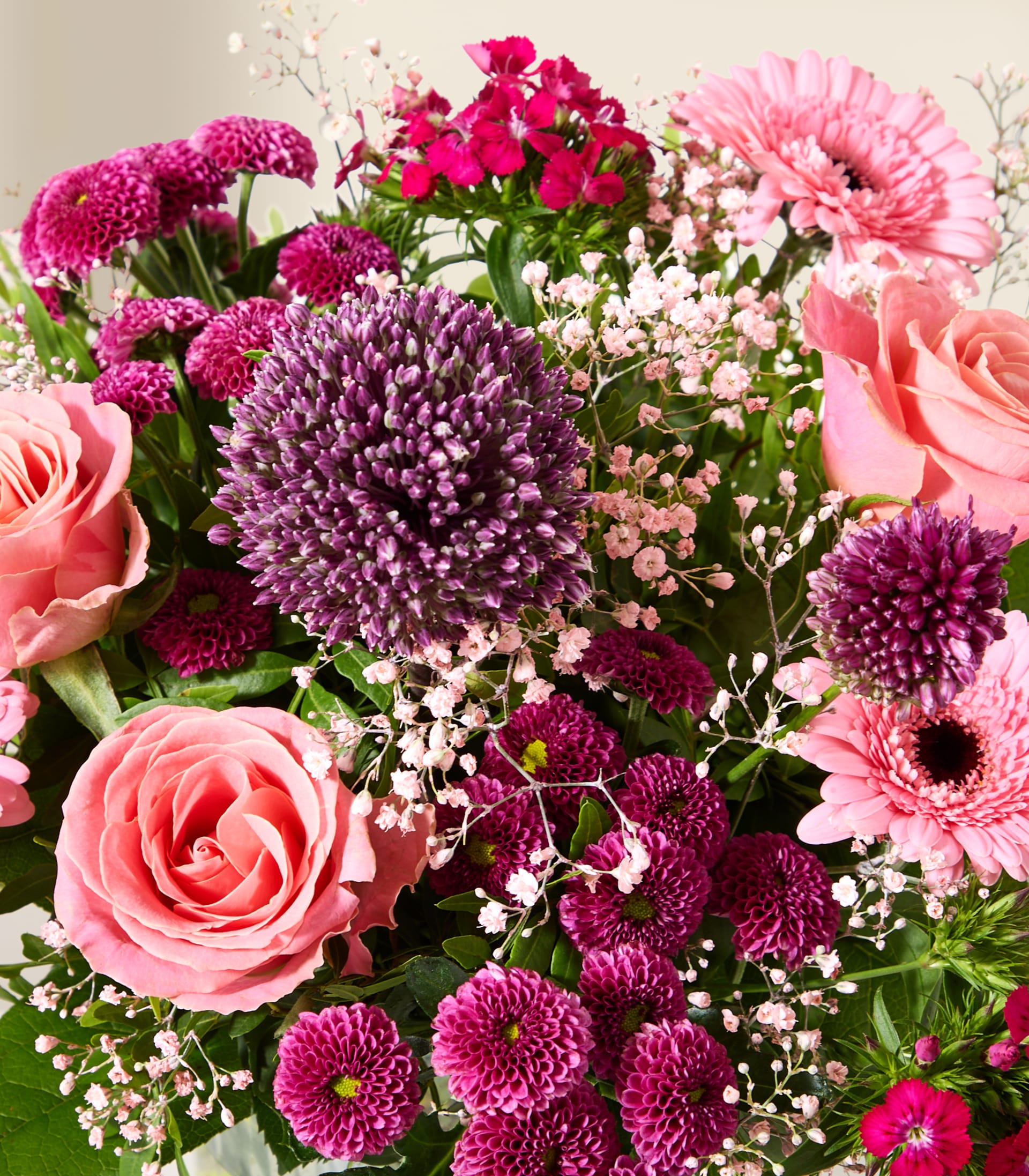 Ein leuchtender Strauß aus rosa Rosen, Gerbera-Gänseblümchen und violettem Zierlauch hebt sich von einem weichen, verschwommenen Hintergrund ab.
