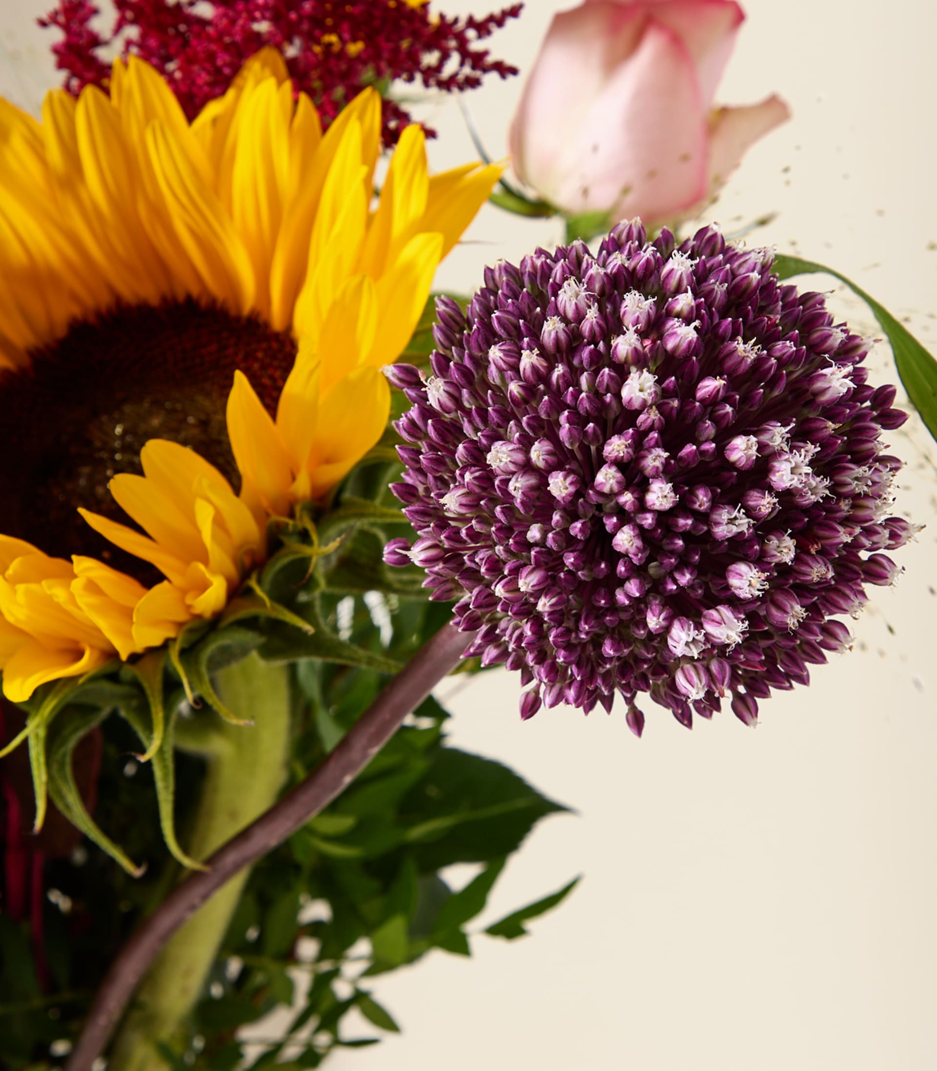Ein farbenprächtiger Strauß aus Sonnenblumen, Rosen und anderen bunten Blumen steht auf einem Tisch vor einem großen Fenster; draußen bietet die Naturkulisse eine friedliche Kulisse.