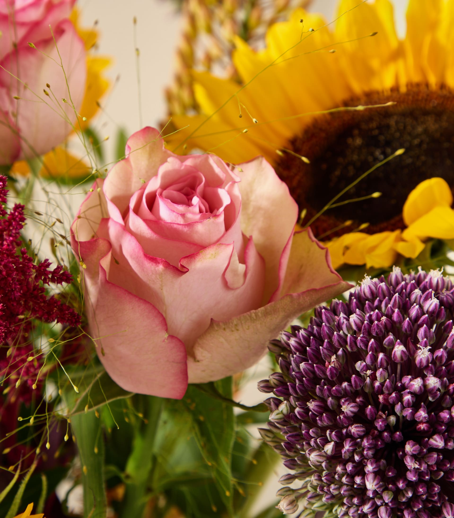 Im Vordergrund steht eine zartrosa Rose mit einem Hauch von Rot auf den Blütenblättern, im Hintergrund eine leuchtende Sonnenblume und eine violette Zierlauchblüte.