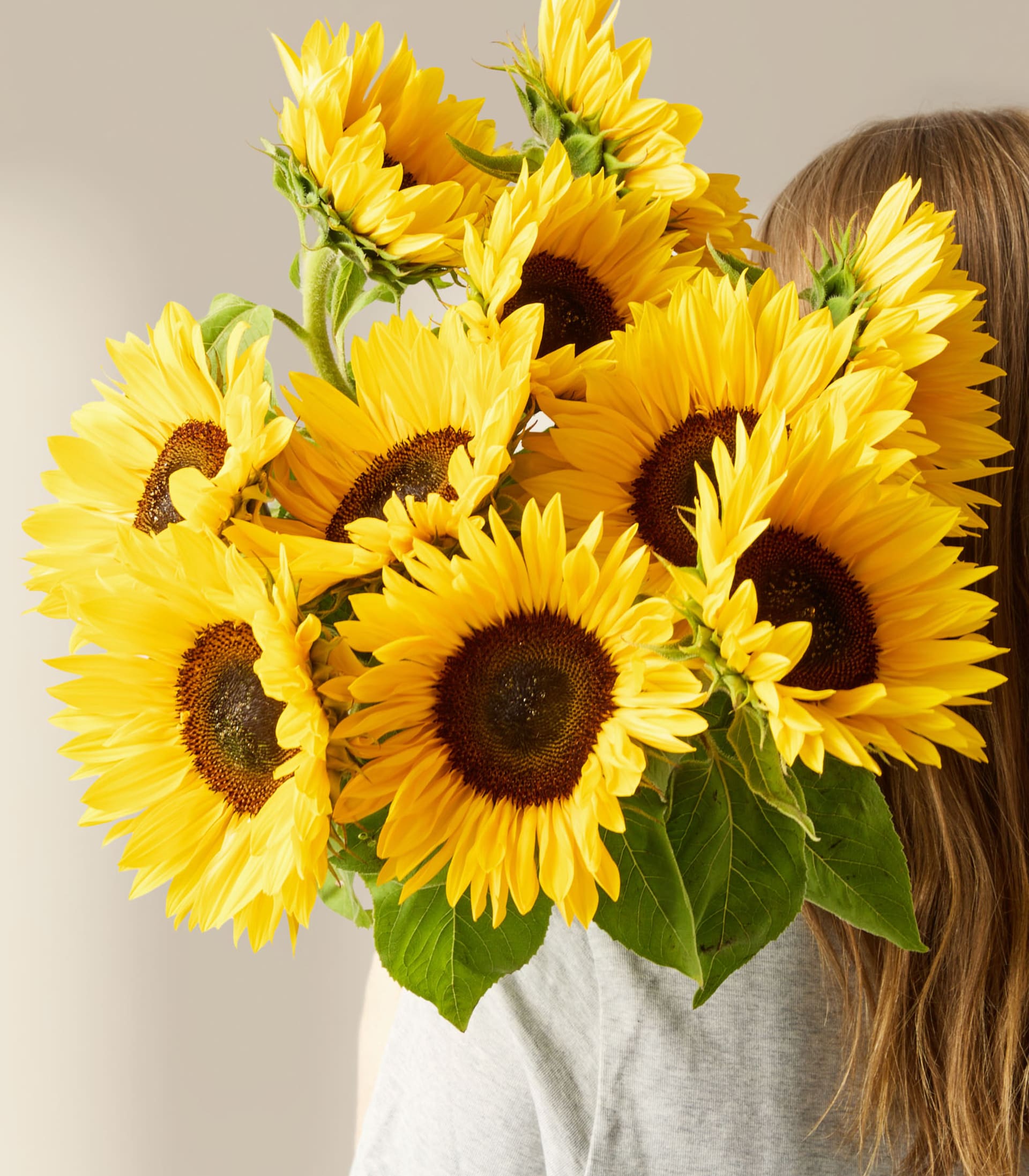 Ein Strauß leuchtend gelber Sonnenblumen füllt den Rahmen, ihre großen Blütenblätter und dunklen Zentren bilden einen schönen Kontrast zum schlichten weißen Hintergrund.