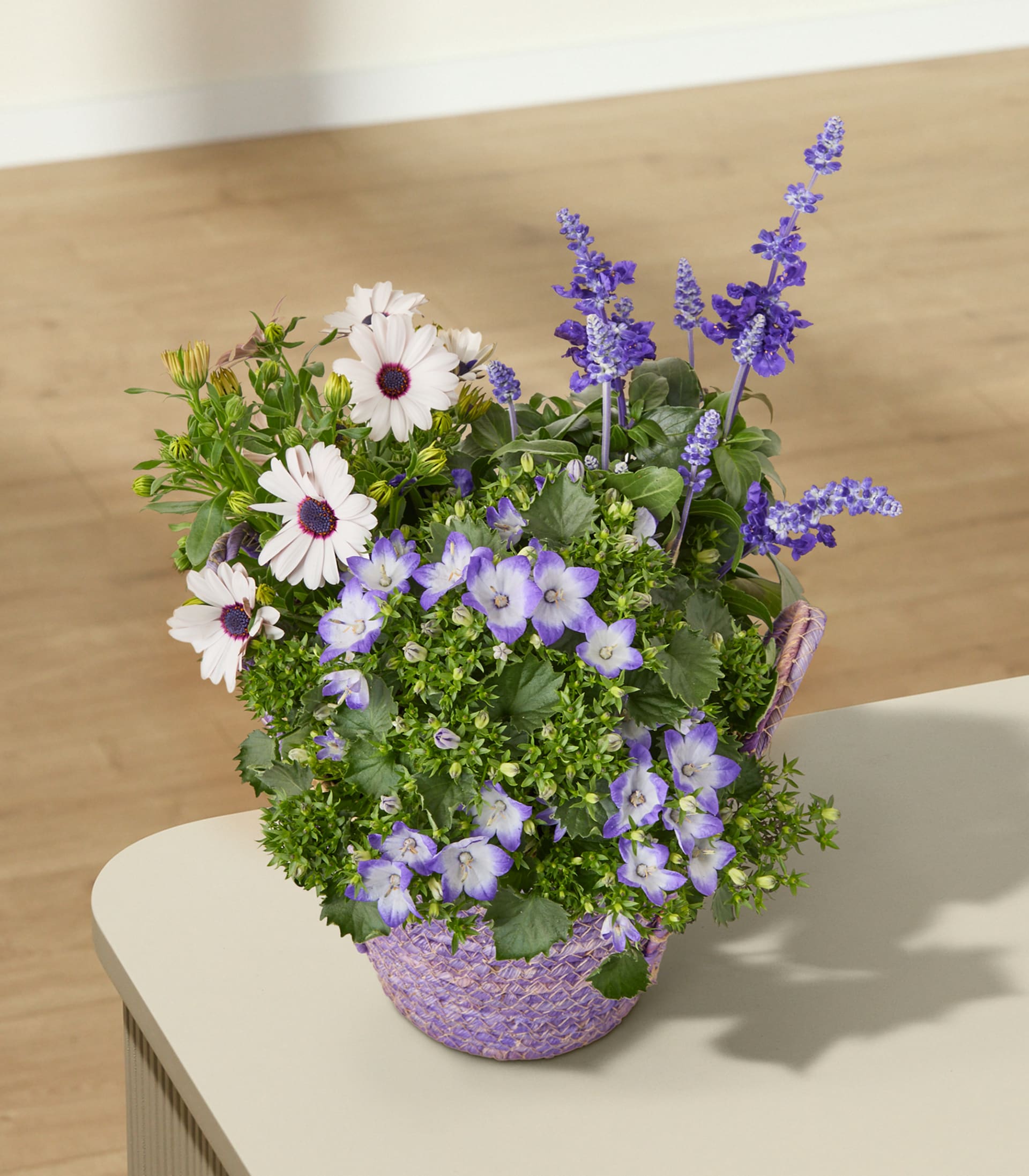 Ein gewebter, violetter Korb, prall gefüllt mit weißen Gänseblümchen und violetten Glockenblumen, hebt sich vor dem verschwommenen Hintergrund eines hellen Tisches und eines Holzbodens ab.