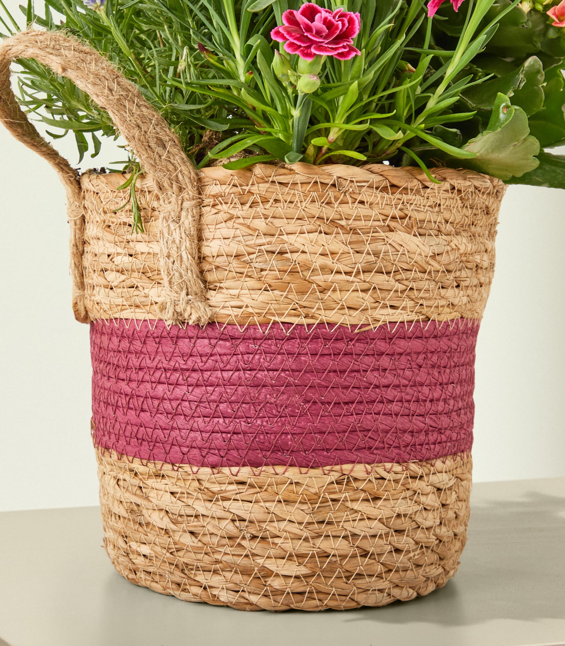 Ein geflochtener Strohkorb mit einem rosa Streifen beherbergt eine farbenfrohe Topfpflanze vor einem sanften, neutralen Hintergrund.